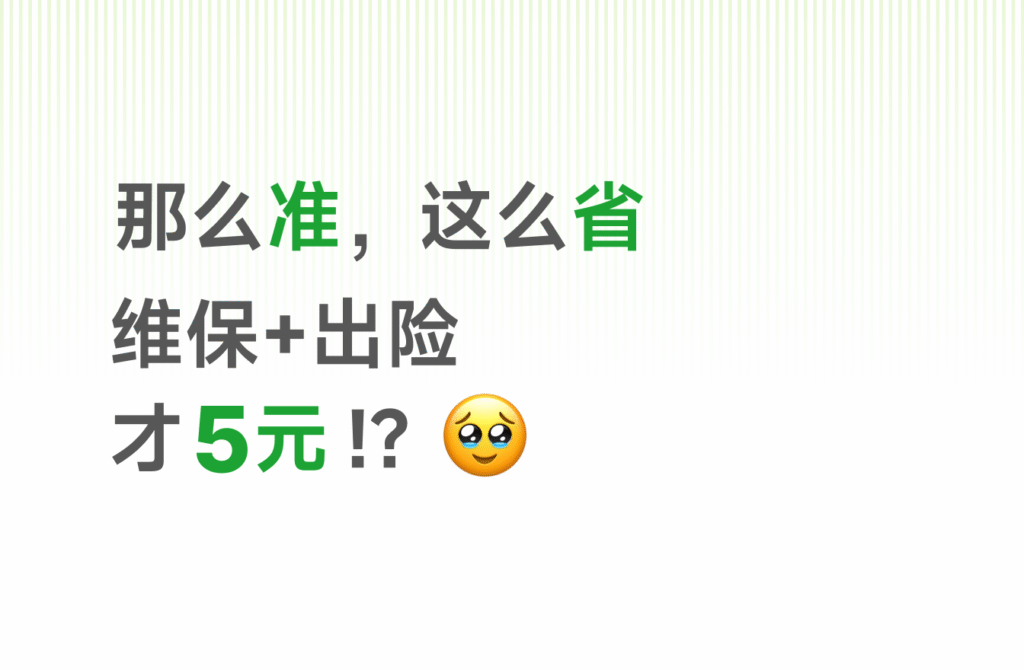 有辆省省查